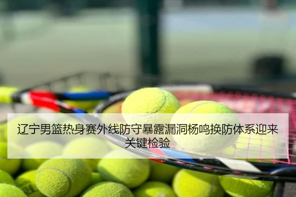 辽宁男篮热身赛外线防守暴露漏洞杨鸣换防体系迎来关键检验